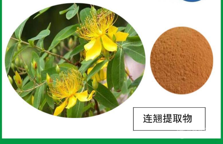 连翘提取物