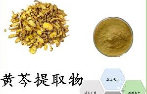黄芩提取物