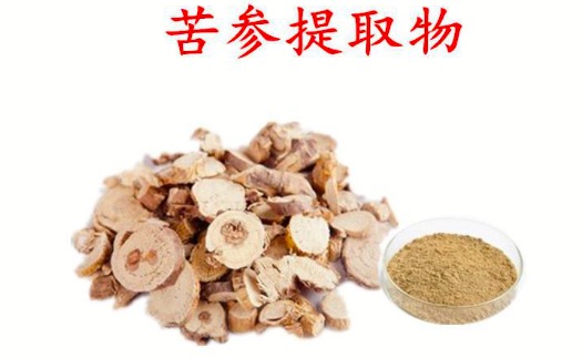 苦参提取物